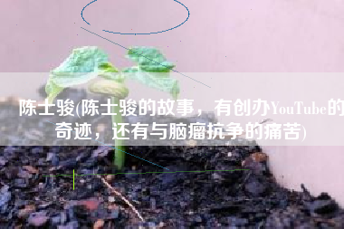 陈士骏(陈士骏的故事，有创办YouTube的奇迹，还有与脑瘤抗争的痛苦)