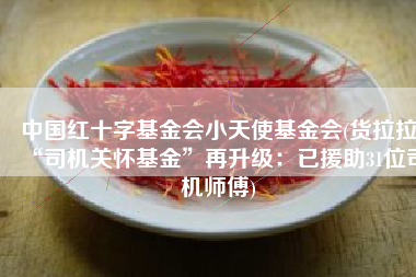 中国红十字基金会小天使基金会(货拉拉“司机关怀基金”再升级：已援助31位司机师傅)