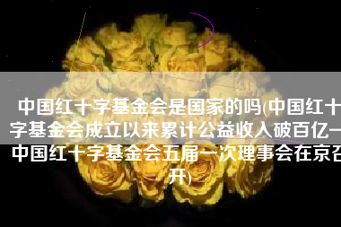 中国红十字基金会是国家的吗(中国红十字基金会成立以来累计公益收入破百亿—中国红十字基金会五届一次理事会在京召开)