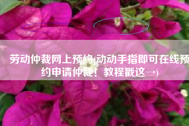 劳动仲裁网上预约(动动手指即可在线预约申请仲裁！教程戳这→)