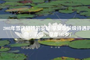 2008年雪灾牺牲的英雄(享受部长级待遇的他，去世，享年102岁)