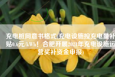 充电桩同意书格式(充电设施按充电量补贴0.6元/kWh！合肥开展2021年充电设施运营奖补资金申报)