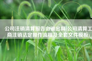 公司注销清算报告由谁出具(公司清算工商注销法定操作流程及全套文件模板)