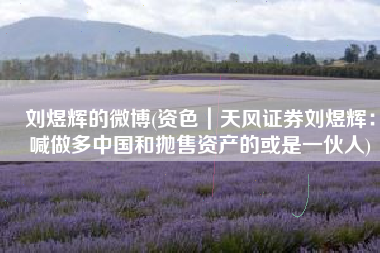 刘煜辉的微博(资色｜天风证券刘煜辉：喊做多中国和抛售资产的或是一伙人)