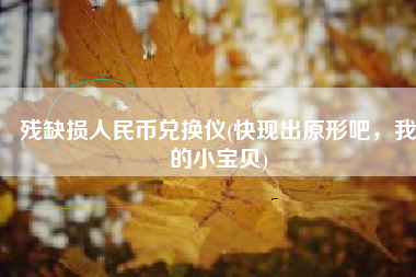 残缺损人民币兑换仪(快现出原形吧，我的小宝贝)