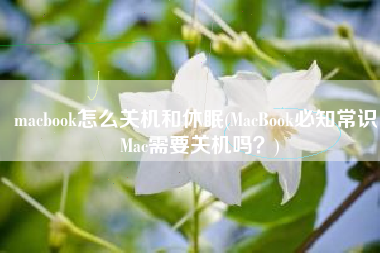 macbook怎么关机和休眠(MacBook必知常识，Mac需要关机吗？)