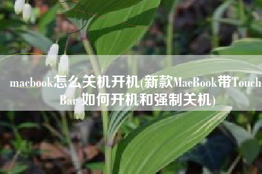 macbook怎么关机开机(新款MacBook带Touch Bar 如何开机和强制关机)