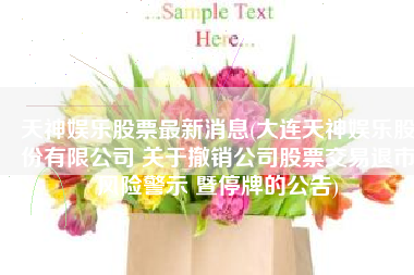 天神娱乐股票最新消息(大连天神娱乐股份有限公司 关于撤销公司股票交易退市风险警示 暨停牌的公告)