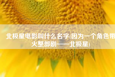 北极星电影叫什么名字(因为一个角色带火整部剧——北极星)