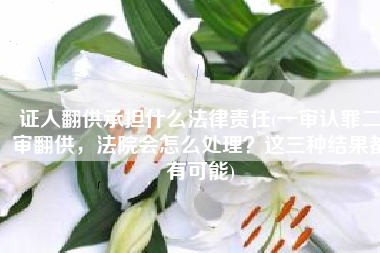 证人翻供承担什么法律责任(一审认罪二审翻供，法院会怎么处理？这三种结果都有可能)