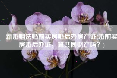 新婚姻法婚前买房婚后办房产证(婚前买房婚后办证，算共同财产吗？)