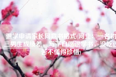 退学申请家长同意书格式(河北：一名初三男生成绩差，写下自愿退学书，没吃过苦不懂得珍惜)