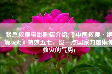 紧急救援电影剧情介绍(《中国救援·绝境36天》特效五毛，没一点国家力量集体救灾的气势)