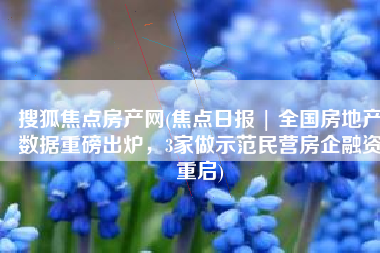 搜狐焦点房产网(焦点日报 | 全国房地产数据重磅出炉，3家做示范民营房企融资重启)