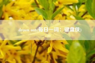 drown out(每日一词：键盘侠)