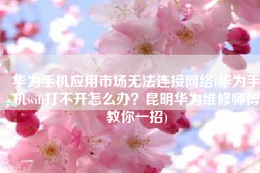 华为手机应用市场无法连接网络(华为手机wifi打不开怎么办？昆明华为维修师傅教你一招)