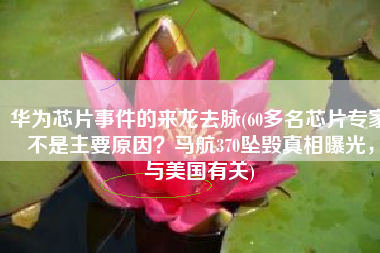 华为芯片事件的来龙去脉(60多名芯片专家不是主要原因？马航370坠毁真相曝光，与美国有关)