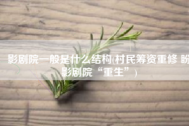 影剧院一般是什么结构(村民筹资重修 盼影剧院“重生”)