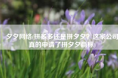夕夕网络(拼多多还是拼夕夕？这家公司真的申请了拼夕夕商标)