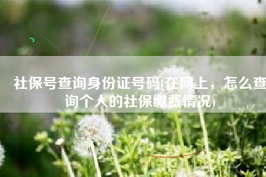 社保号查询身份证号码(在网上，怎么查询个人的社保缴费情况)