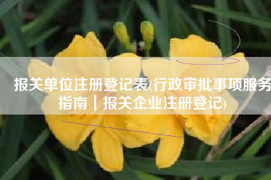 报关单位注册登记表(行政审批事项服务指南｜报关企业注册登记)