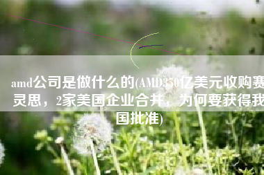 amd公司是做什么的(AMD350亿美元收购赛灵思，2家美国企业合并，为何要获得我国批准)