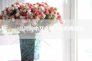 amd公司的中文全称(AMD的辉煌史)