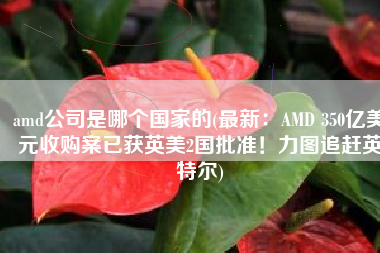amd公司是哪个国家的(最新：AMD 350亿美元收购案已获英美2国批准！力图追赶英特尔)