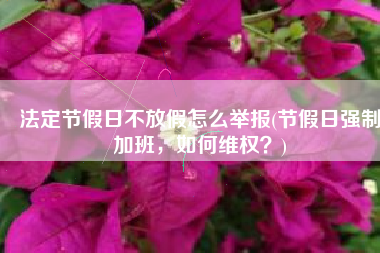 法定节假日不放假怎么举报(节假日强制加班，如何维权？)