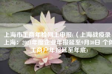 上海市工商年检网上申报(（上海战疫录）上海：2021年度企业年报延至9月30日 个体工商户年报延至年底)