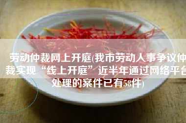 劳动仲裁网上开庭(我市劳动人事争议仲裁实现“线上开庭”近半年通过网络平台处理的案件已有58件)