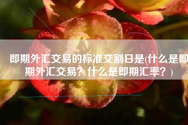 即期外汇交易的标准交割日是(什么是即期外汇交易？什么是即期汇率？)