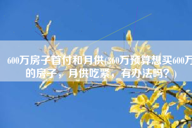 600万房子首付和月供(360万预算想买600万的房子，月供吃紧，有办法吗？)