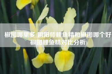 椒图哪里多(阴阳师鲤鱼精和椒图哪个好 椒图鲤鱼精对比分析)
