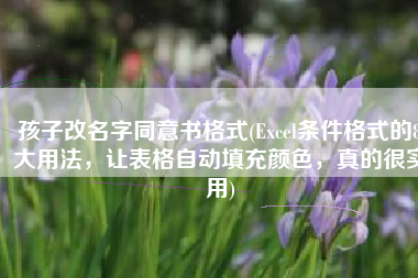 孩子改名字同意书格式(Excel条件格式的8大用法，让表格自动填充颜色，真的很实用)