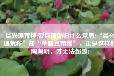 晨兴理荒秽,带月荷锄归什么意思(“晨兴理荒秽”却“草盛豆苗稀”，正是这样的陶渊明，才无法超越)