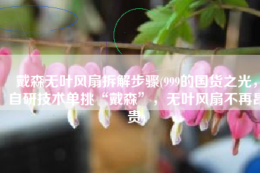 戴森无叶风扇拆解步骤(999的国货之光，自研技术单挑“戴森”，无叶风扇不再昂贵)