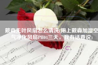 戴森无叶风扇怎么清洗(用上戴森加湿空气净化风扇PH04三天，我有话要说)