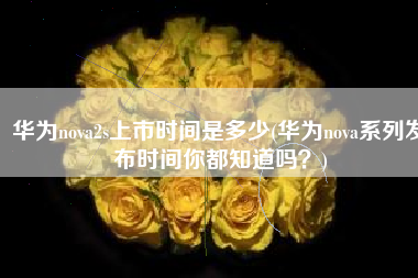 华为nova2s上市时间是多少(华为nova系列发布时间你都知道吗？)