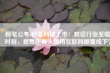 粉笔公考(粉笔科技上市：教培行业至暗时刻，竟然还有人想用互联网颠覆线下？)