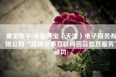 赛宝电子(中新赛宝（天津）电子商务有限公司“违规从事互联网药品信息服务”被罚)