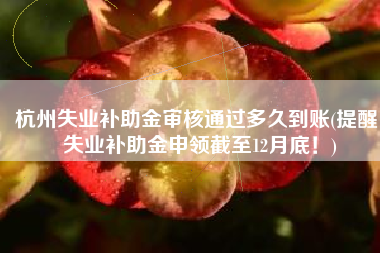 杭州失业补助金审核通过多久到账(提醒！失业补助金申领截至12月底！)