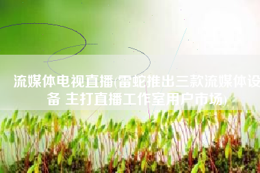 流媒体电视直播(雷蛇推出三款流媒体设备 主打直播工作室用户市场)