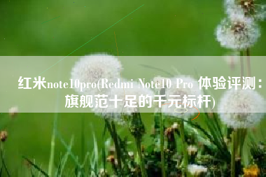 红米note10pro(Redmi Note10 Pro 体验评测：旗舰范十足的千元标杆)