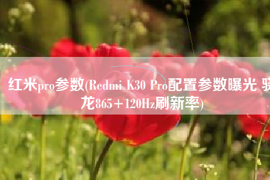 红米pro参数(Redmi K30 Pro配置参数曝光 骁龙865+120Hz刷新率)