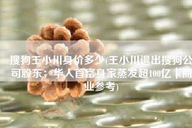 搜狗王小川身价多少(王小川退出搜狗公司股东；华人首富身家蒸发超100亿｜商业参考)