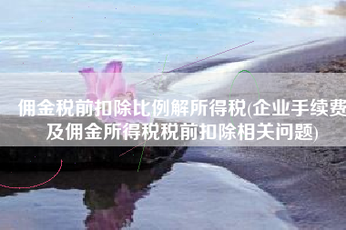 佣金税前扣除比例解所得税(企业手续费及佣金所得税税前扣除相关问题)