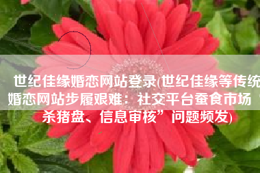 世纪佳缘婚恋网站登录(世纪佳缘等传统婚恋网站步履艰难：社交平台蚕食市场“杀猪盘、信息审核”问题频发)