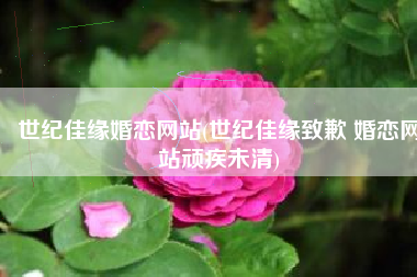 世纪佳缘婚恋网站(世纪佳缘致歉 婚恋网站顽疾未清)