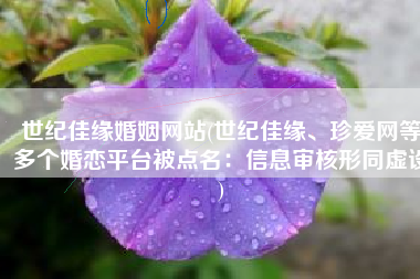 世纪佳缘婚姻网站(世纪佳缘、珍爱网等多个婚恋平台被点名：信息审核形同虚设)
